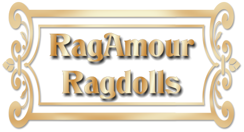 Rag Amour Ragdoll Logo