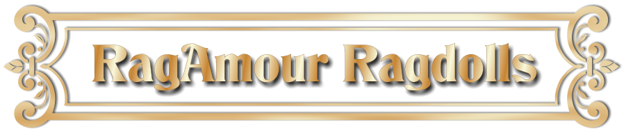 Rag Amour Ragdolls