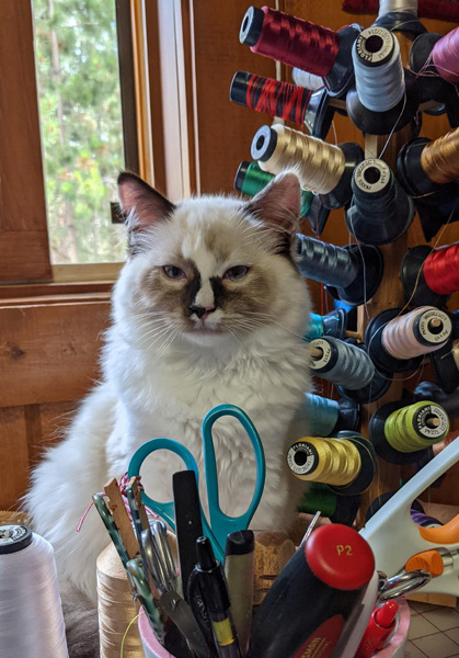 Guardian of the Thread